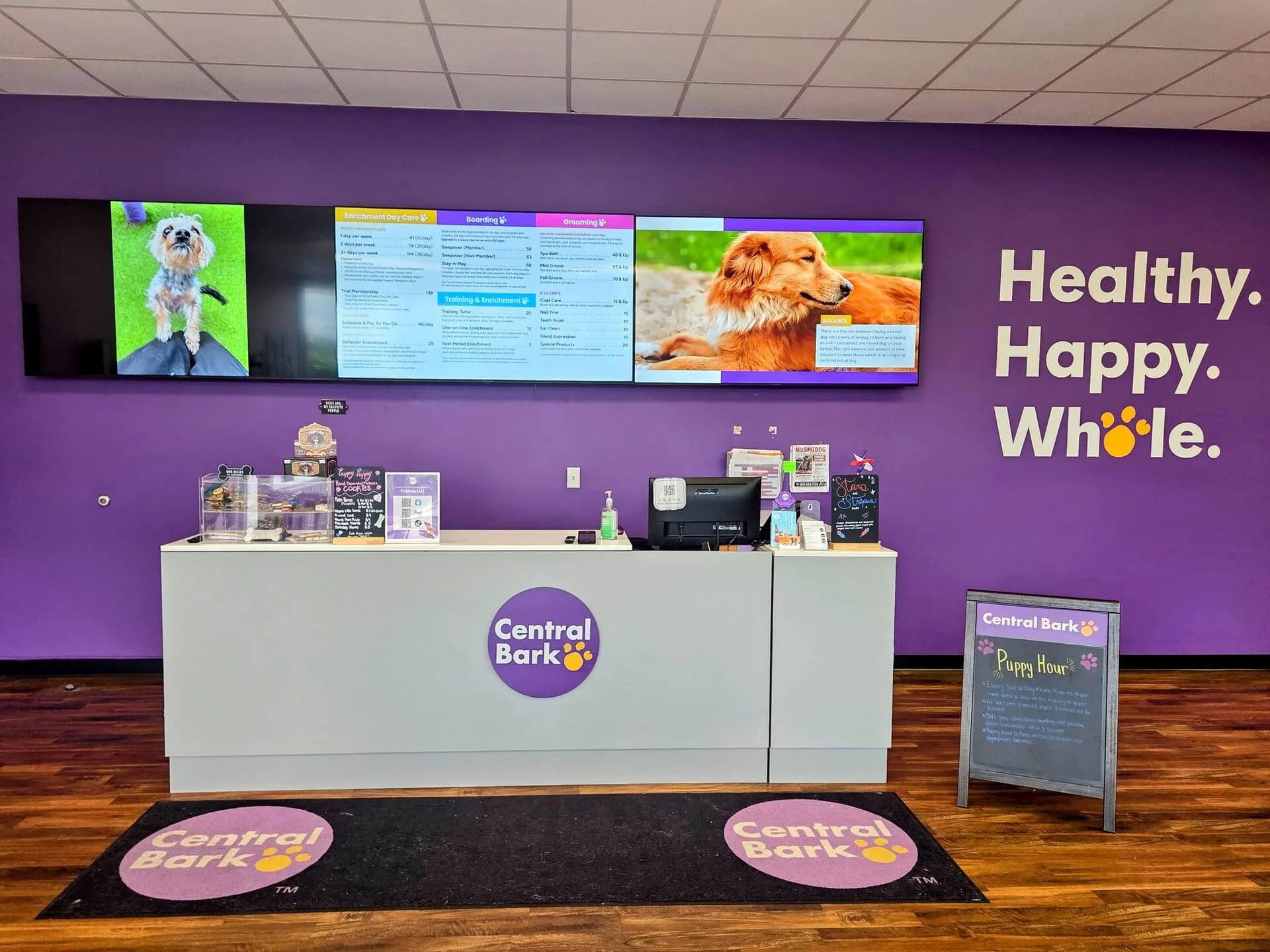Digital Signage Install — Central Bark